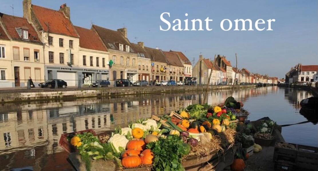Le Clos Des Glycines Saint-Martin-Lez-Tatinghem Екстер'єр фото